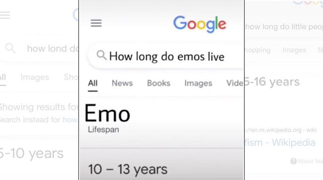 How Long Do Emos Live For